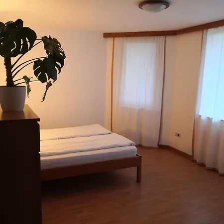 Narcisz 1 Séjour chez l'habitant